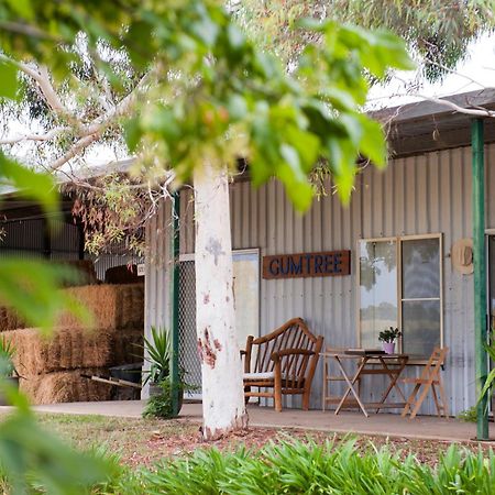 Вилла Peppertree Farm Маджи Экстерьер фото