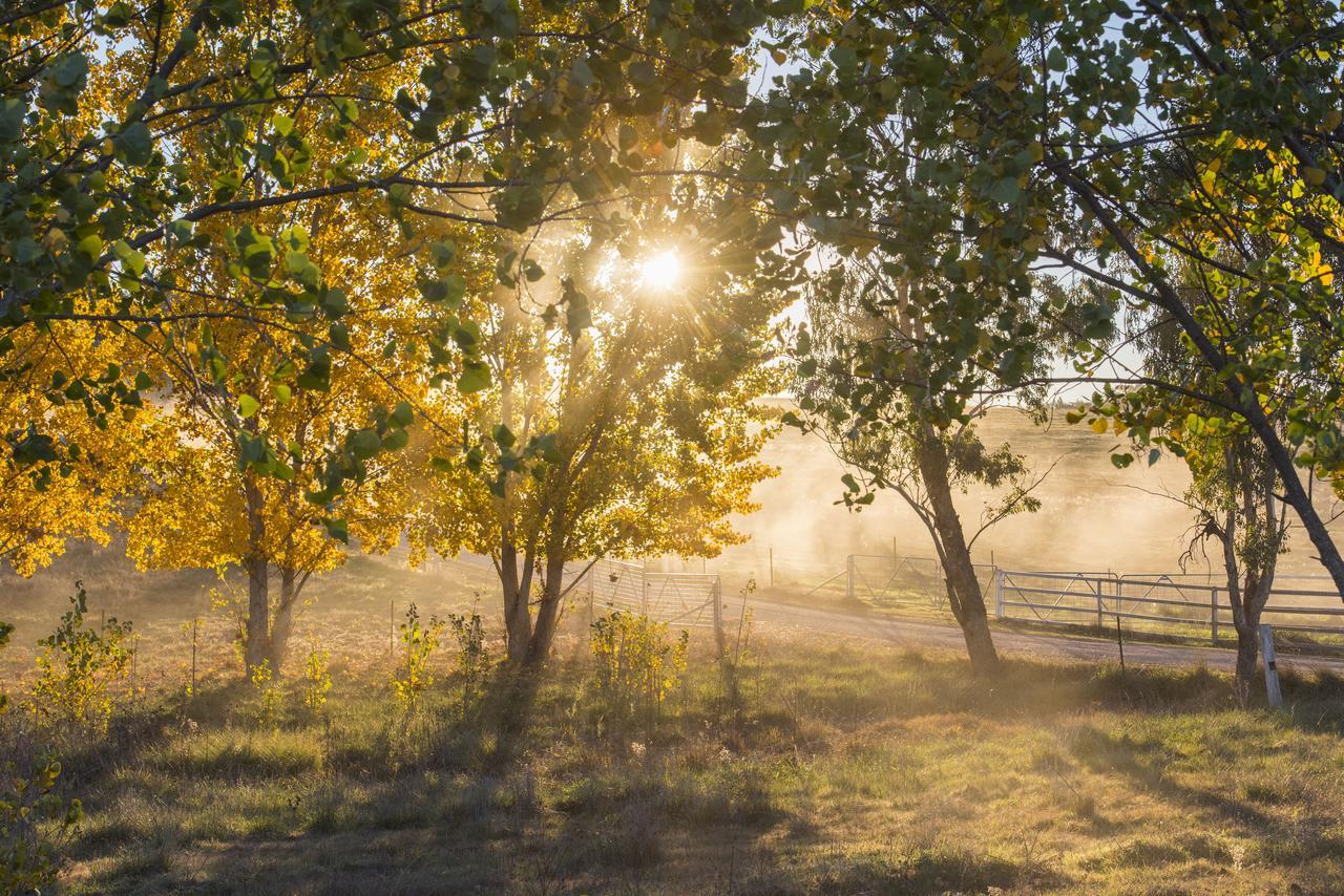 Вилла Peppertree Farm Маджи Экстерьер фото